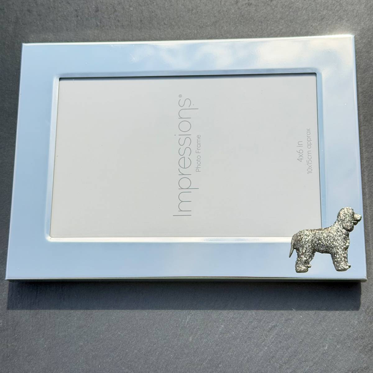 Irish Water Spaniel Photo Frame - Landscape | Alden Arts