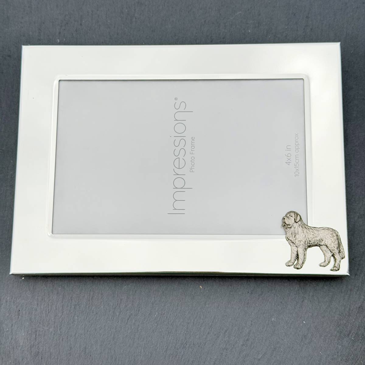St Bernard Photo Frame - Landscape | Alden Arts
