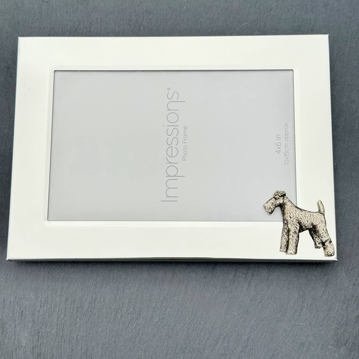 Welsh Terrier Photo Frame - Landscape | Alden Arts