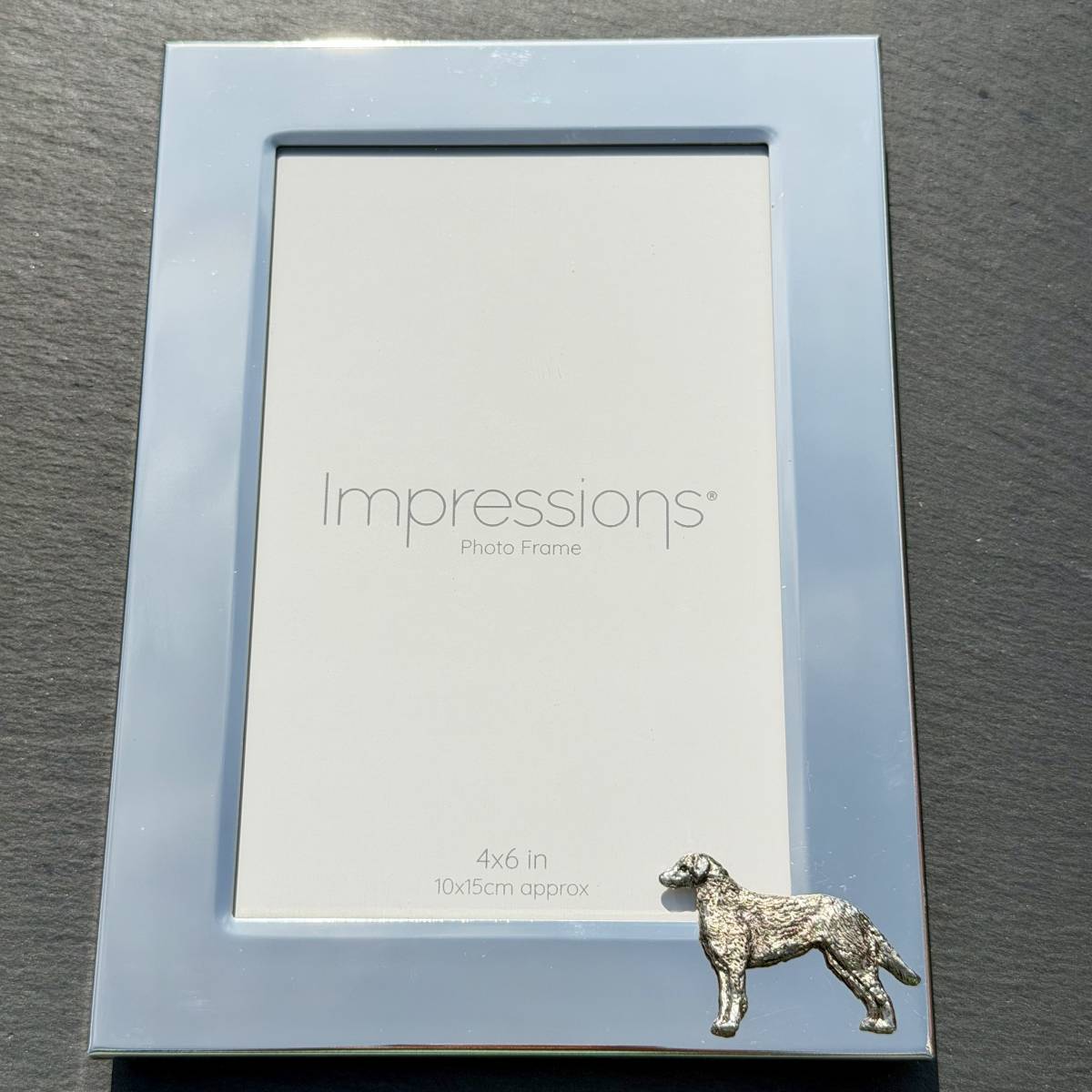 Chesapeake Bay Retriever Photo Frame - Portrait | Alden Arts