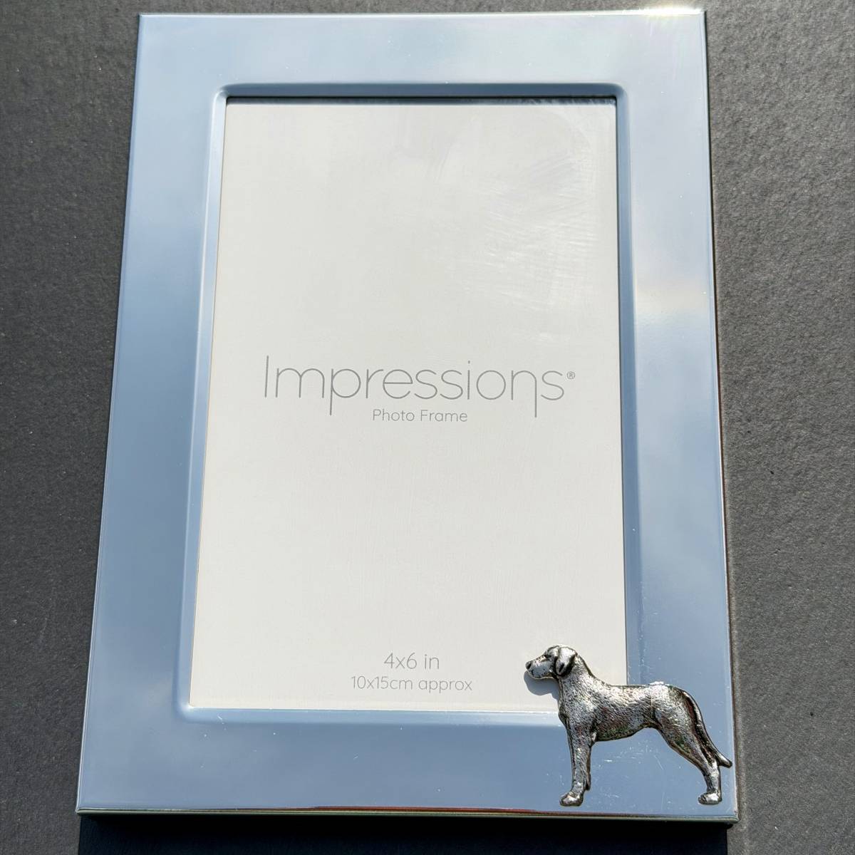 Great Dane Photo Frame - Portrait | Alden Arts