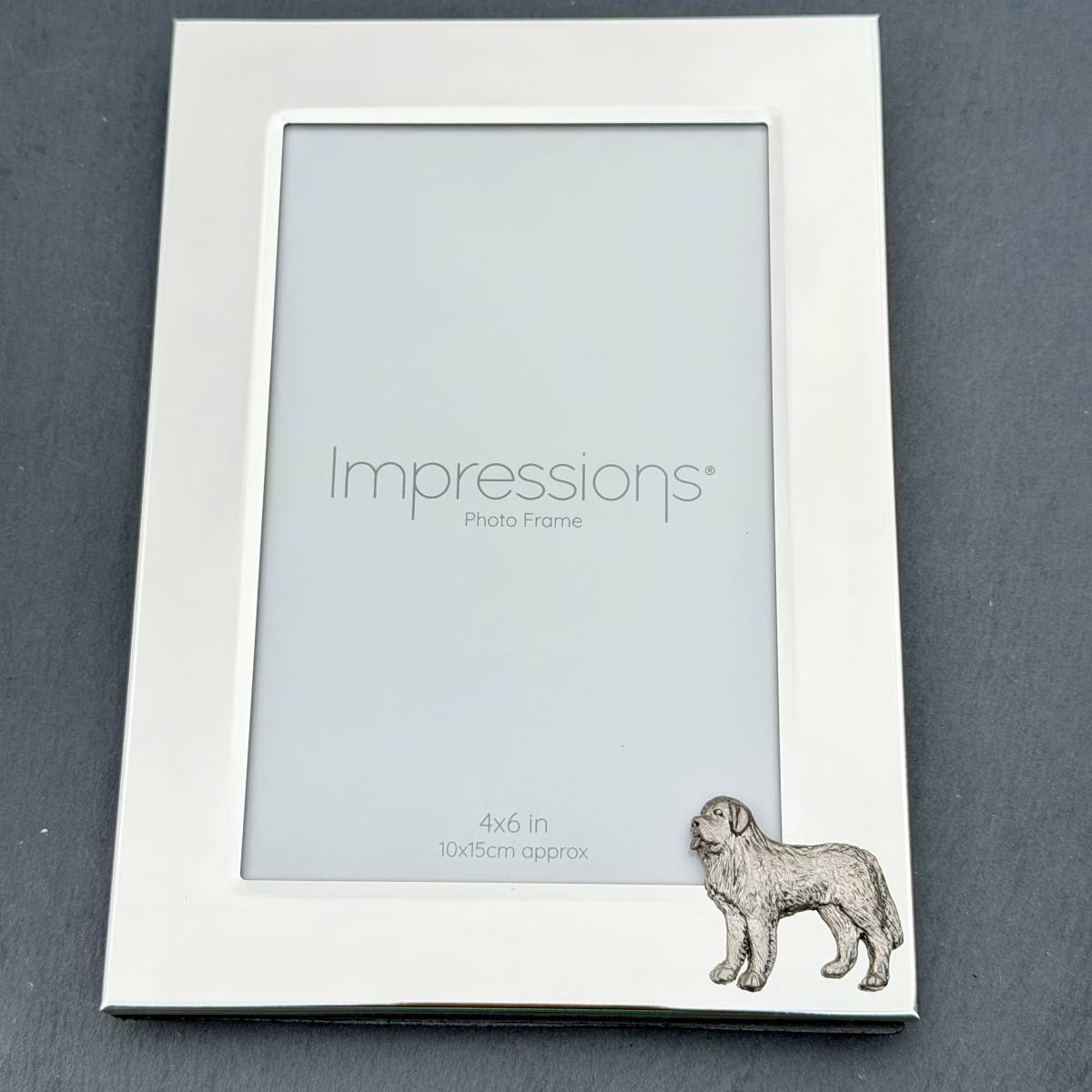 St Bernard Photo Frame - Portrait | Alden Arts