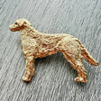 Chesapeake Bay Retriever Brooch - Gold Plate | Alden Arts