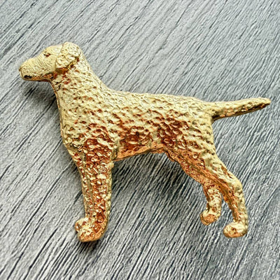 Curly Coated Retriever Brooch - Gold Plate | Alden Arts