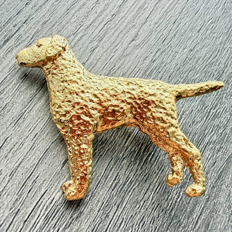Curly Coated Retriever Brooch - Gold Plate | Alden Arts