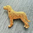 Italian Spinone Brooch - Gold Plate | Alden Arts