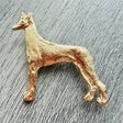 Pharaoh Hound Brooch - Gold Plate | Alden Arts