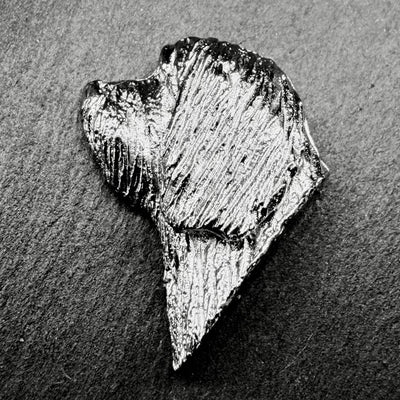 Bearded Collie Lapel Pin | Nickel Silver | Alden Arts
