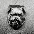 Griffon Rough Lapel Pin | Nickel Silver | Alden Arts