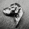 Labrador Lapel Pin | Nickel Silver | Alden Arts