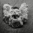 Papillon Lapel Pin | Nickel Silver | Alden Arts