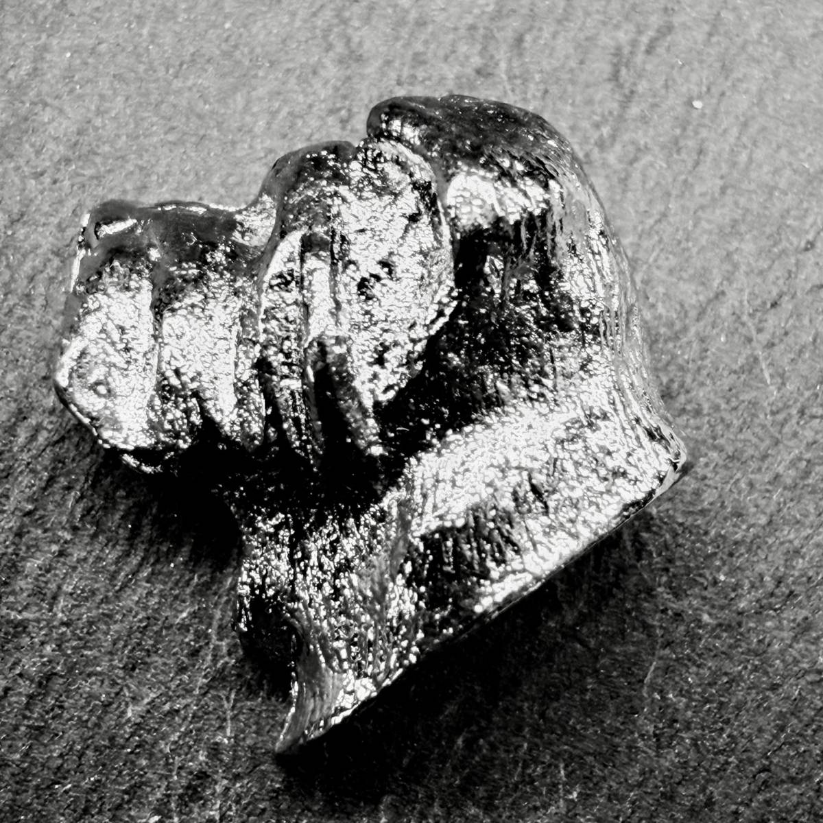 Shar Pei Lapel Pin | Nickel Silver | Alden Arts