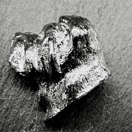 Shar Pei Lapel Pin | Nickel Silver | Alden Arts