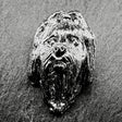 Shih Tzu Lapel Pin | Nickel Silver | Alden Arts