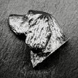 Sussex Spaniel Lapel Pin | Nickel Silver | Alden Arts