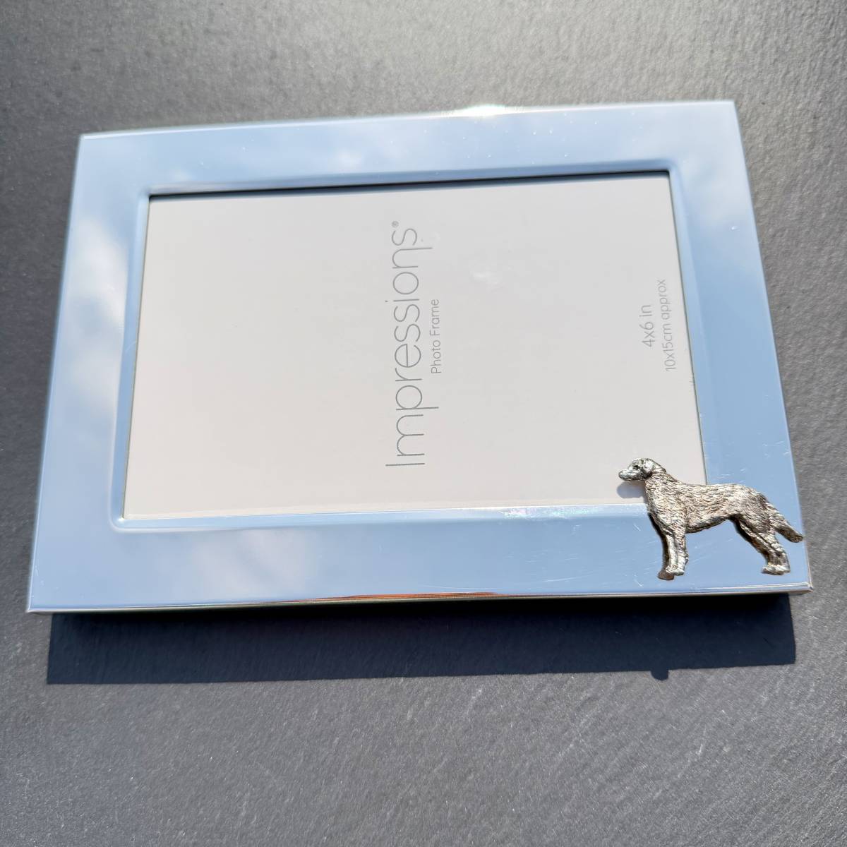 Chesapeake Bay Retriever Photo Frame - Landscape | Alden Arts