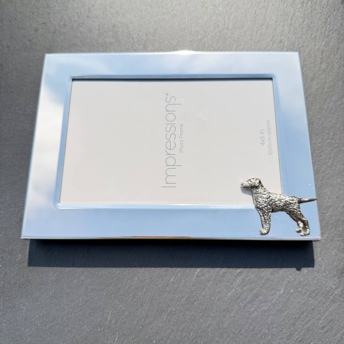 Curly Coated Retriever Photo Frame - Landscape | Alden Arts