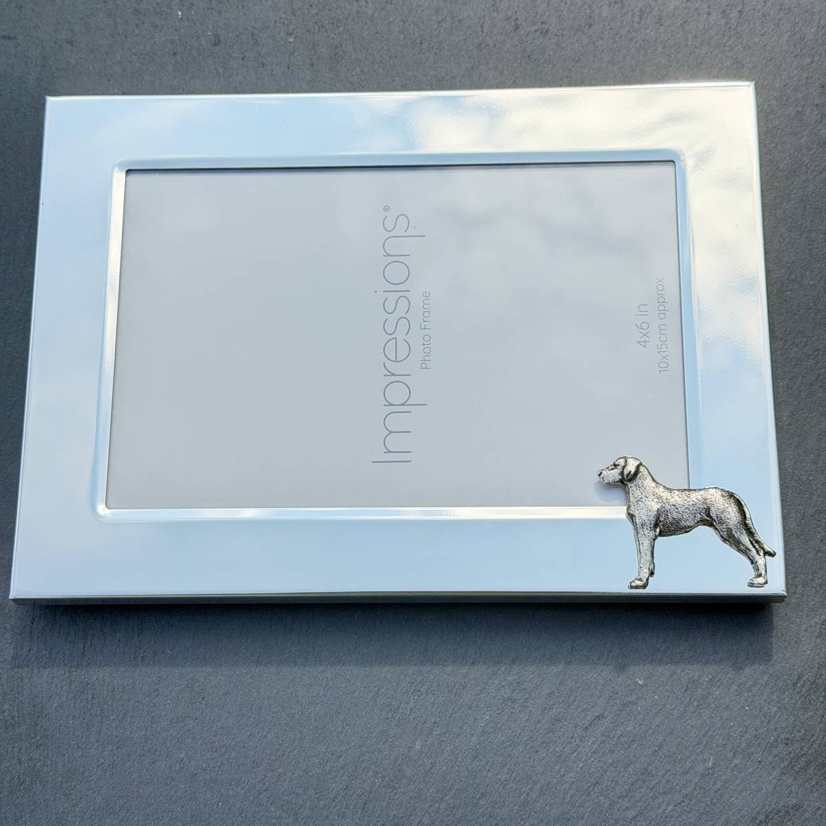 Great Dane Photo Frame - Landscape | Alden Arts