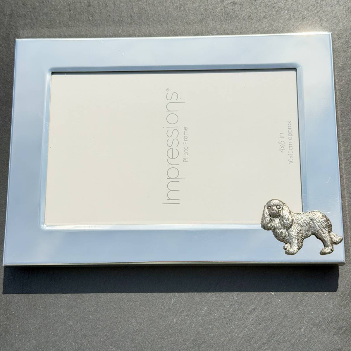 King Charles Spaniel Photo Frame - Landscape | Alden Arts