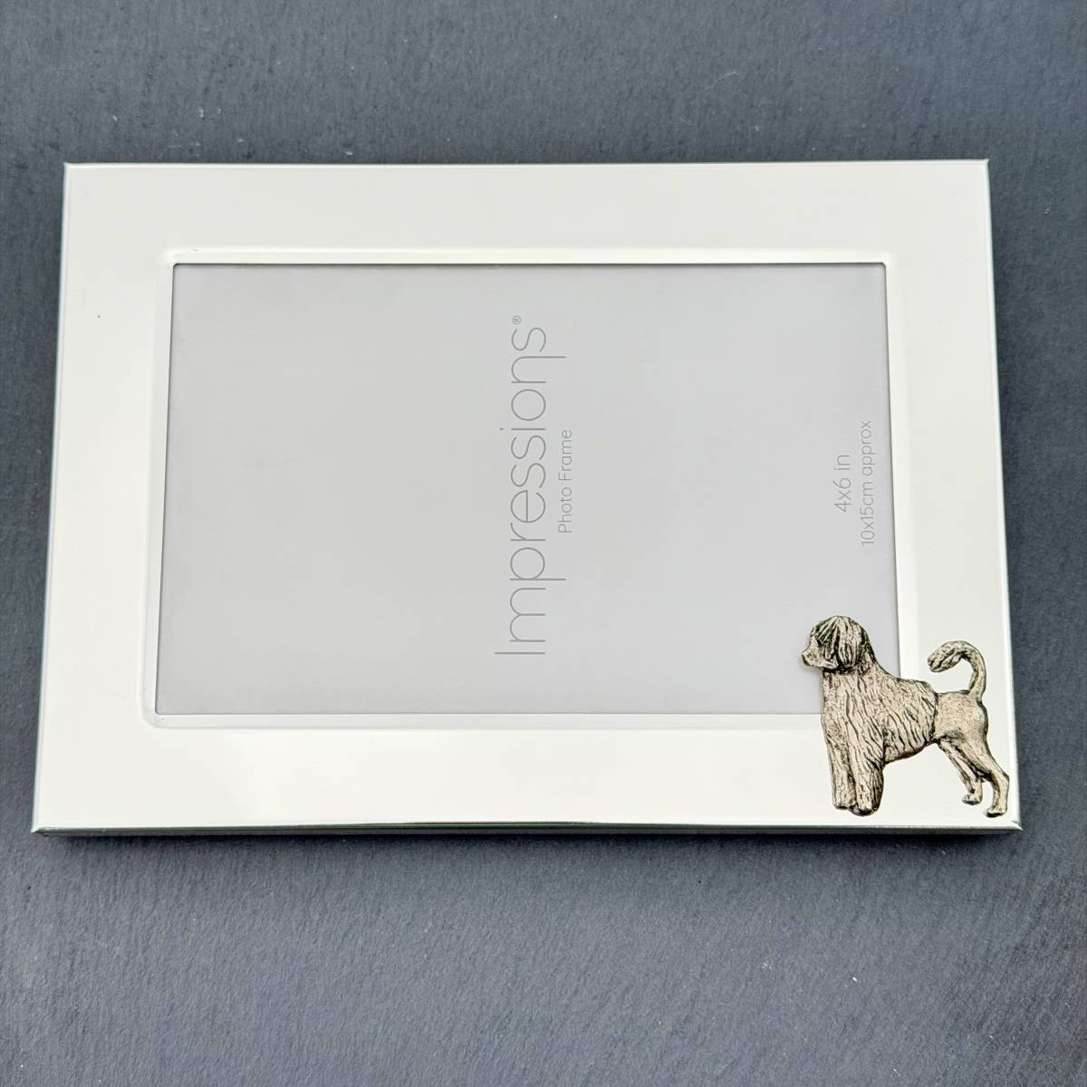 Portuguese Water Dog Photo Frame - Landscape | Alden Arts