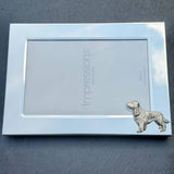 Springer Spaniel Photo Frame - Landscape | Alden Arts