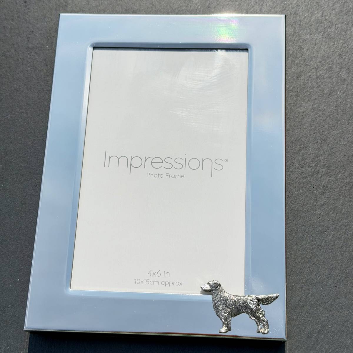 Flat Coated Retriever Photo Frame - Portrait | Alden Arts