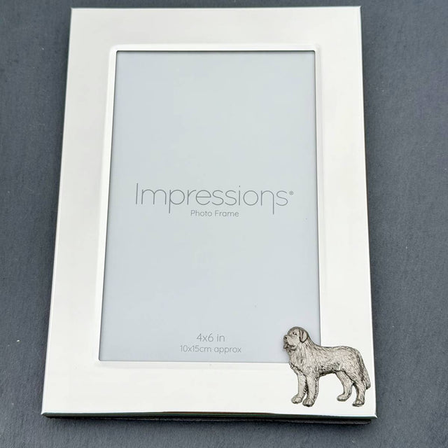 St Bernard Photo Frame - Portrait | Alden Arts