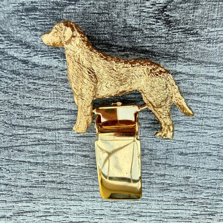 Chesapeake Bay Retriever Show Ring Clip - Gold Plate | Alden Arts