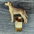 Hungarian Vizsla Show Ring Clip - Gold Plate | Alden Arts